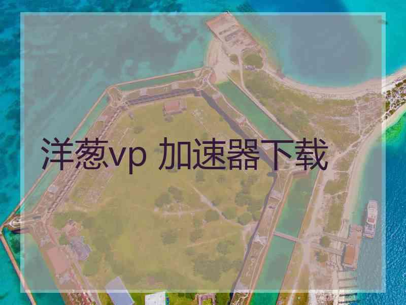 洋葱vp 加速器下载