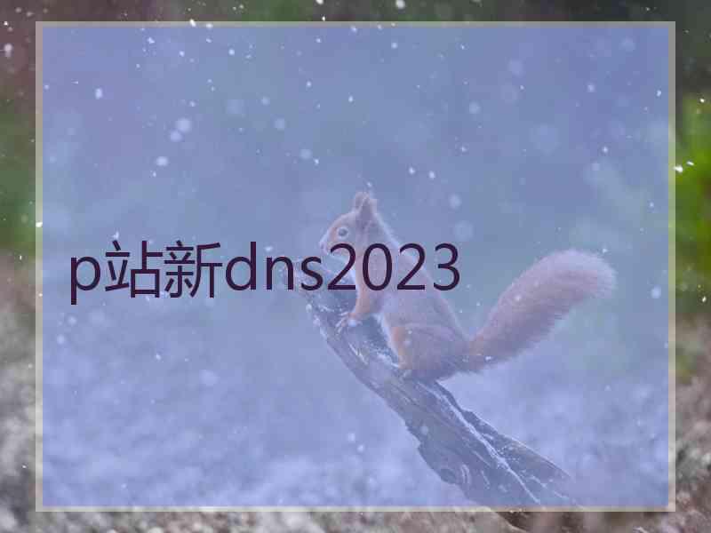 p站新dns2023