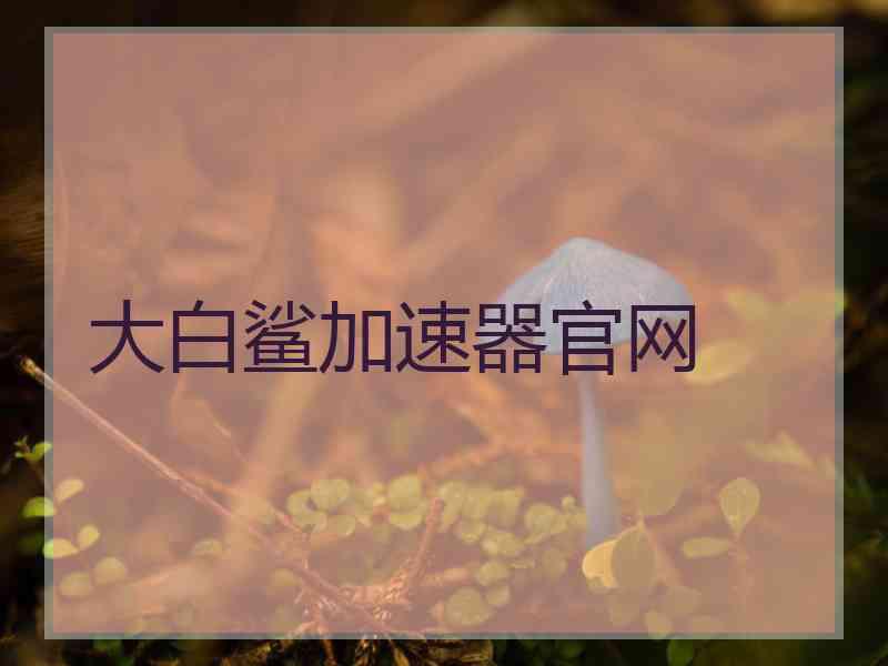 大白鲨加速器官网