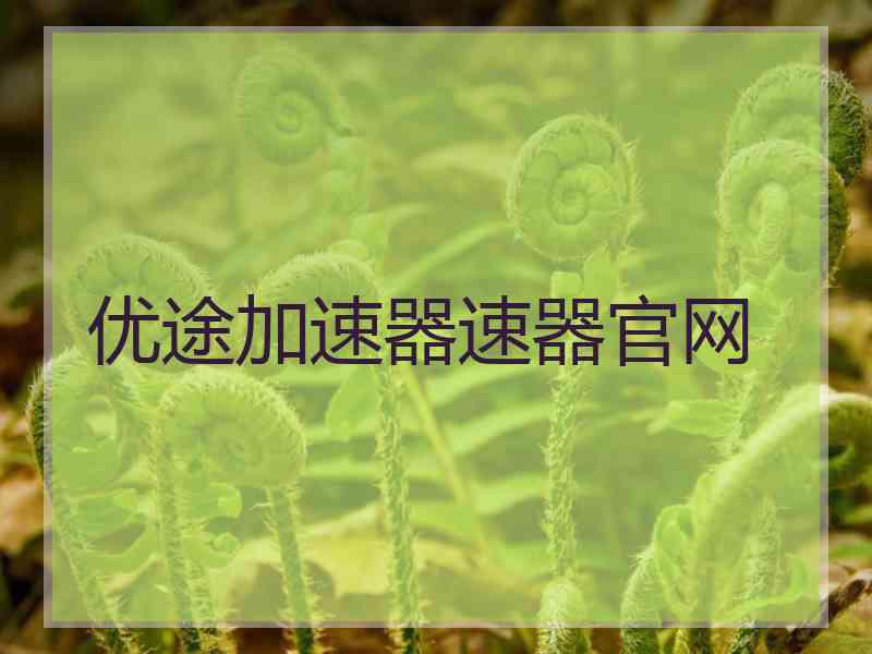 优途加速器速器官网