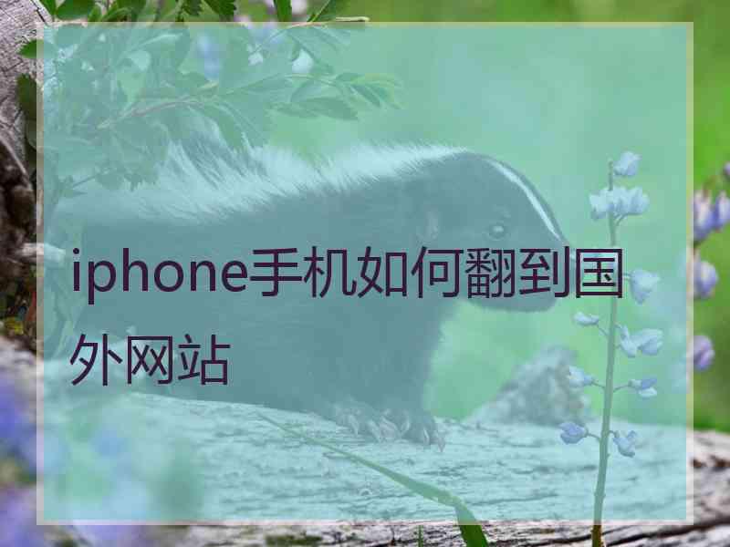 iphone手机如何翻到国外网站