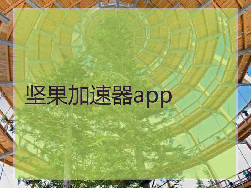 坚果加速器app