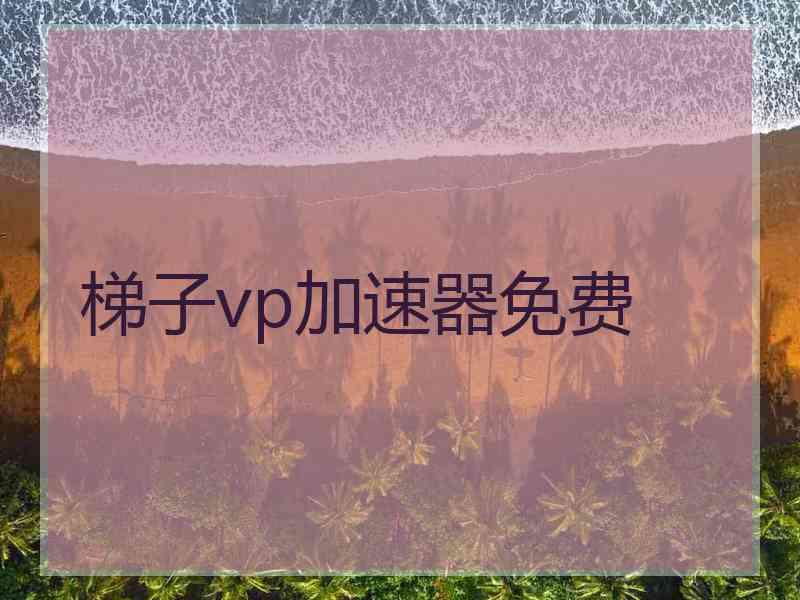 梯子vp加速器免费