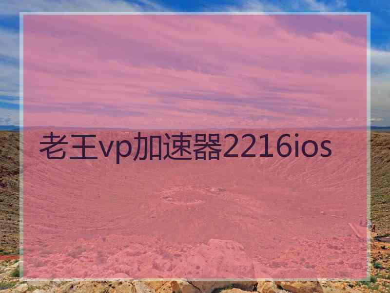 老王vp加速器2216ios