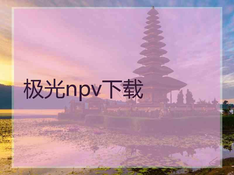 极光npv下载