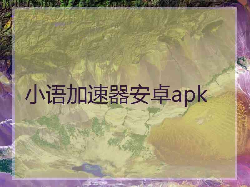 小语加速器安卓apk