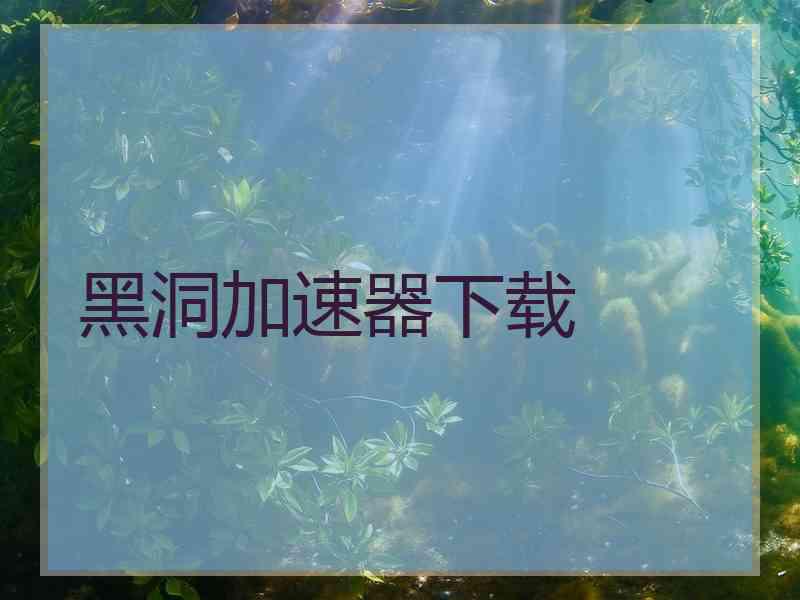 黑洞加速器下载