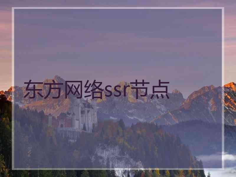 东方网络ssr节点