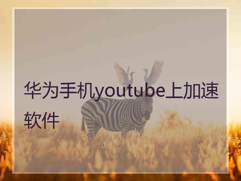 华为手机youtube上加速软件