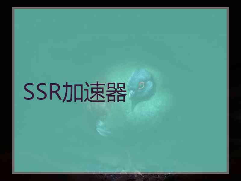 SSR加速器