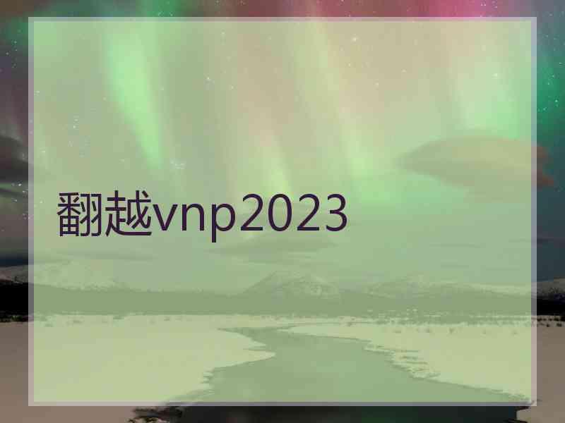 翻越vnp2023