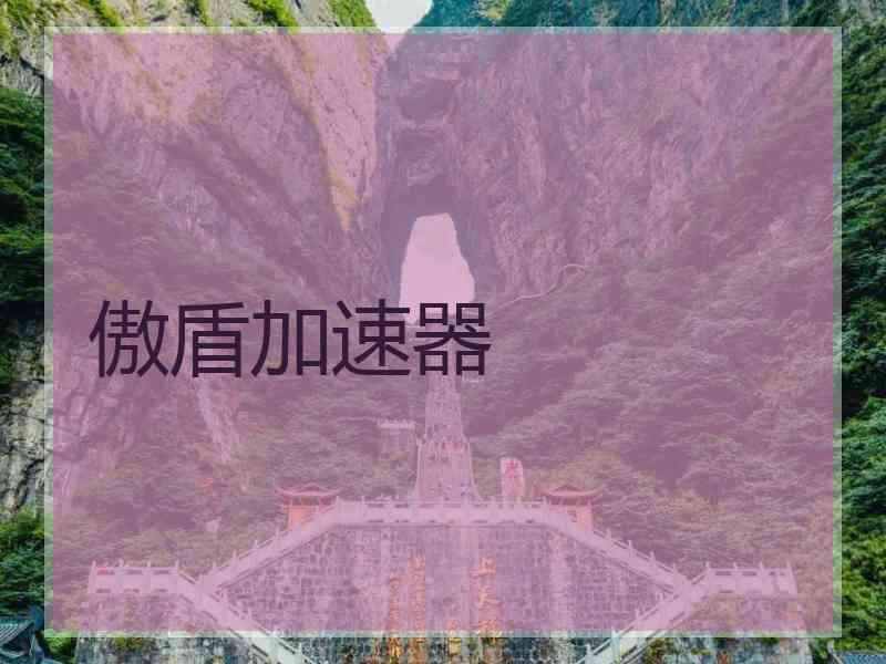 傲盾加速器