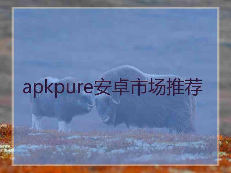 apkpure安卓市场推荐