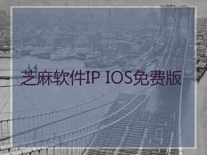 芝麻软件IP IOS免费版