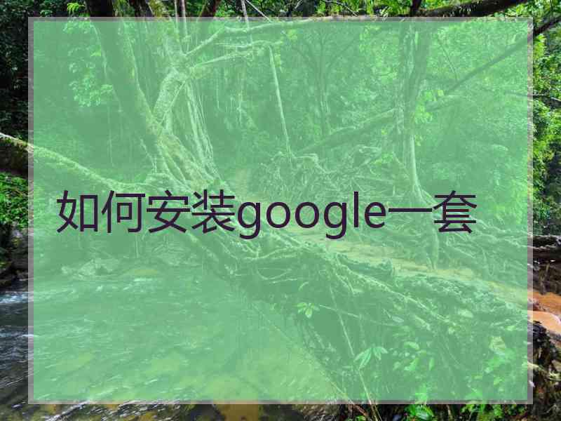 如何安装google一套