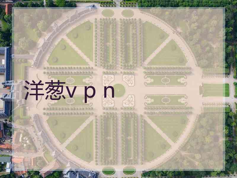 洋葱v p n