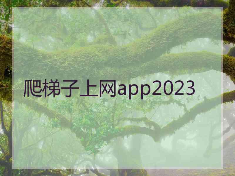 爬梯子上网app2023