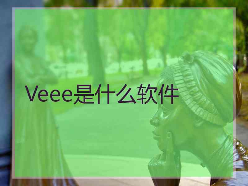 Veee是什么软件