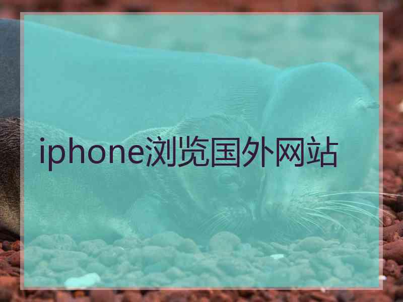 iphone浏览国外网站