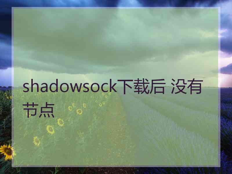 shadowsock下载后 没有节点