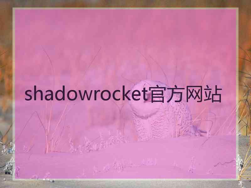 shadowrocket官方网站