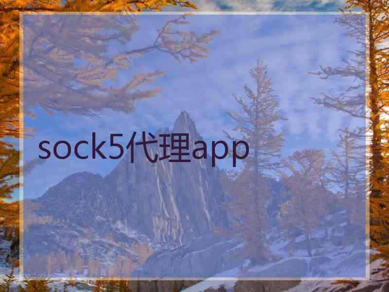 sock5代理app