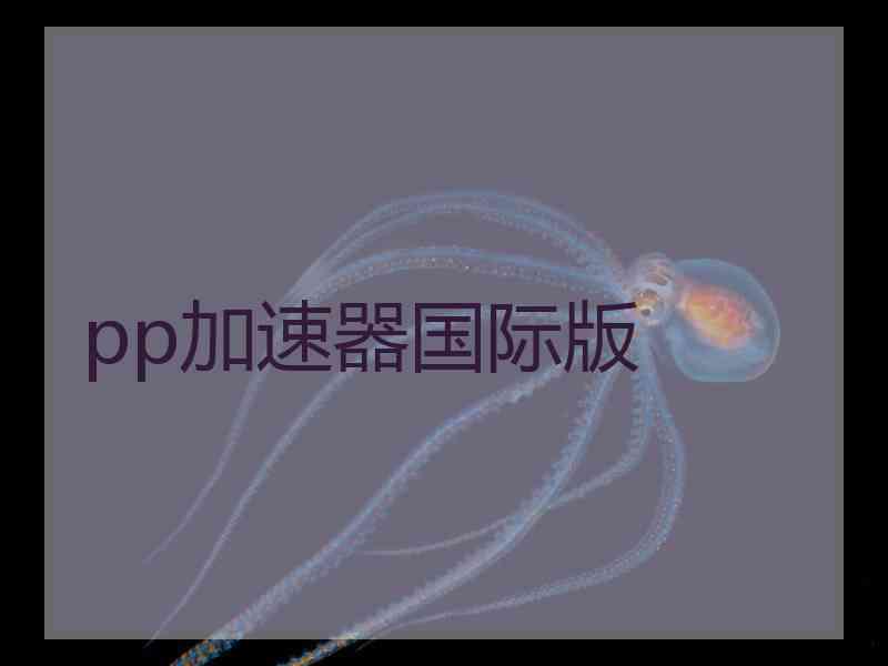 pp加速器国际版