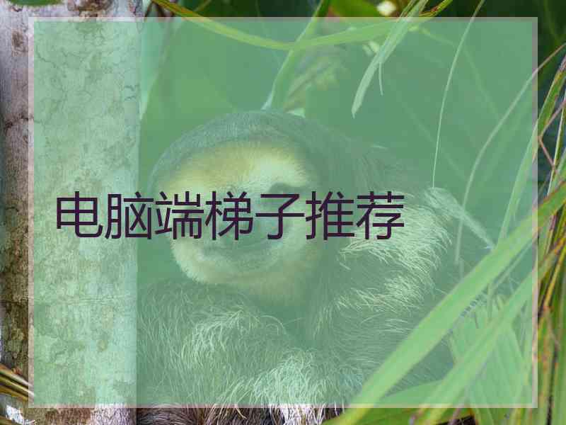 电脑端梯子推荐