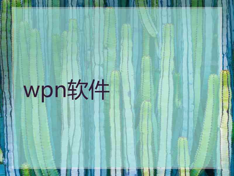 wpn软件