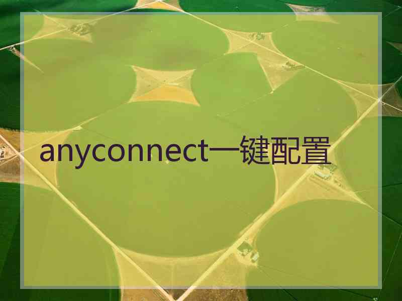 anyconnect一键配置